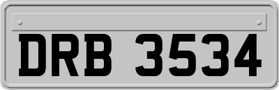 DRB3534