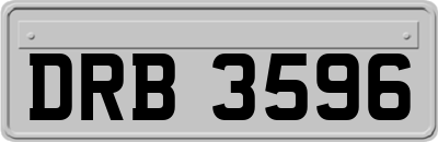 DRB3596
