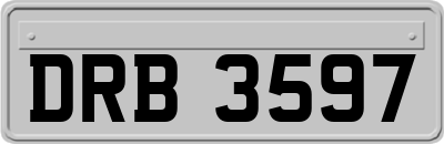 DRB3597