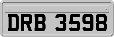 DRB3598