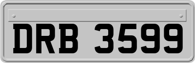 DRB3599