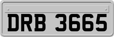 DRB3665