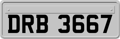 DRB3667