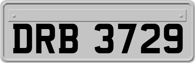 DRB3729