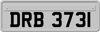 DRB3731