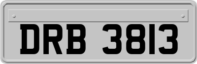 DRB3813