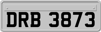 DRB3873