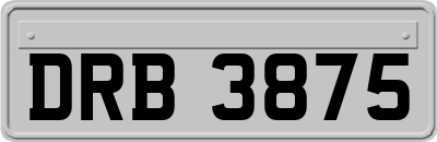 DRB3875