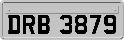 DRB3879