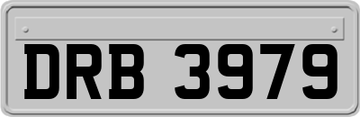 DRB3979