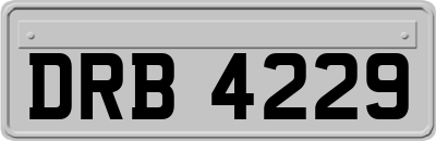 DRB4229