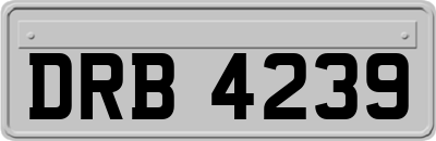 DRB4239