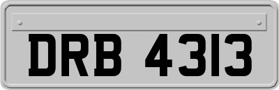 DRB4313