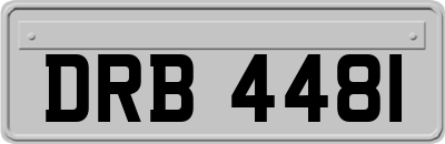 DRB4481