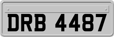 DRB4487