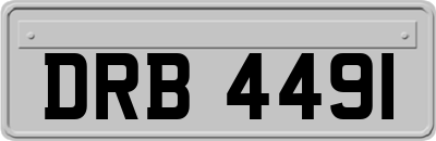 DRB4491