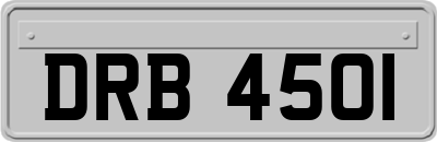 DRB4501