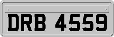 DRB4559