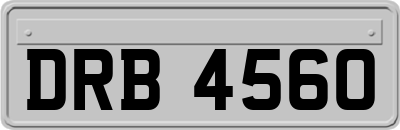 DRB4560