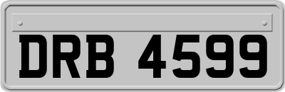 DRB4599