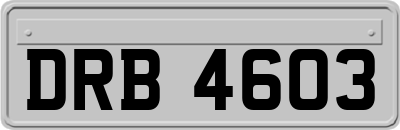 DRB4603