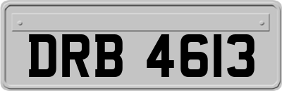 DRB4613