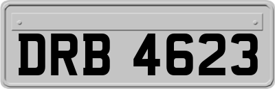 DRB4623