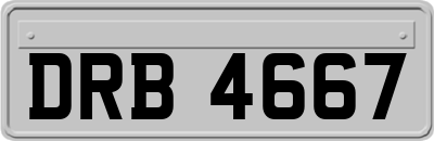 DRB4667