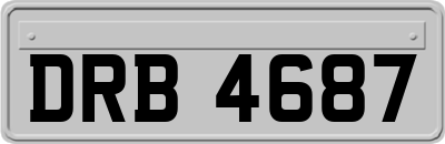 DRB4687