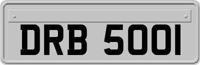 DRB5001