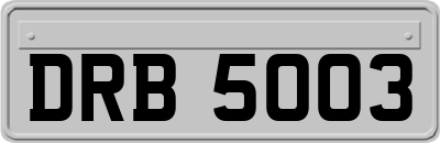 DRB5003