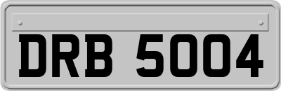 DRB5004