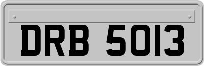 DRB5013