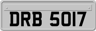 DRB5017