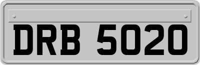 DRB5020