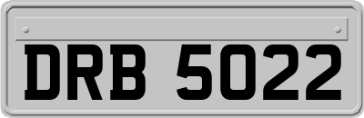 DRB5022