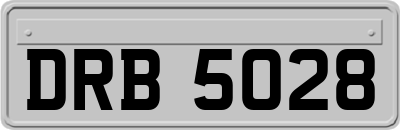 DRB5028