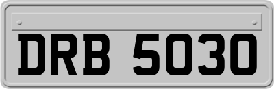 DRB5030