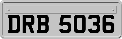 DRB5036