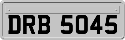 DRB5045