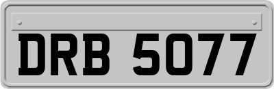 DRB5077