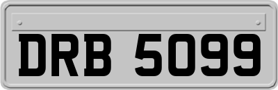 DRB5099