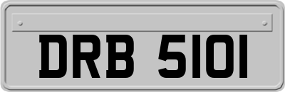 DRB5101