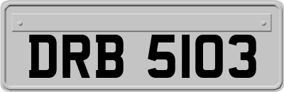 DRB5103