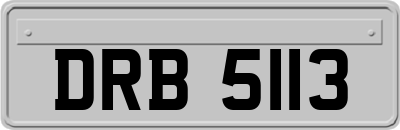 DRB5113