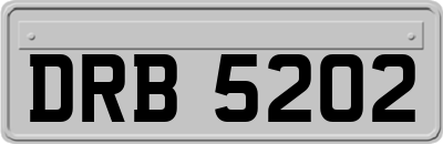 DRB5202