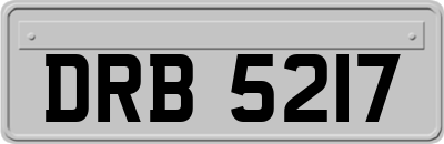 DRB5217