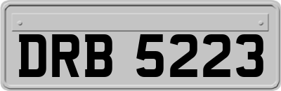 DRB5223