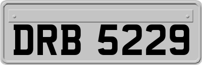 DRB5229