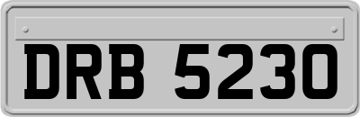 DRB5230